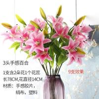 uploads/erp/collection/images/Home Garden/CongDing/XU0612295/img_b/XU0612295_img_b_2